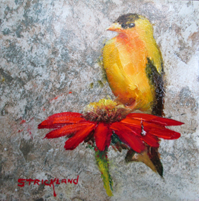 Finch1